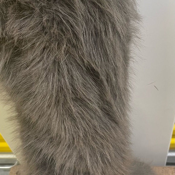 Free People Faux Fur boots - Picture 2 of 5